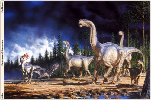 QMan PB SP7 1771 Camarasaurs and Ceratosaurs