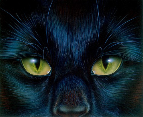 am-barclay_shaw_cats_eyes.jpg