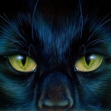 am-barclay_shaw_cats_eyes